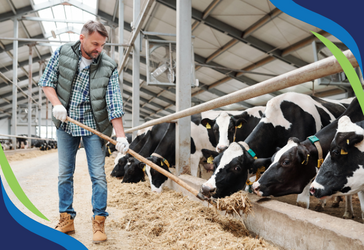 How Bird Flu Spreads in Dairy Cows and the Role of Ozone in Preventing Contamination How Bird Flu Spreads in Dairy Cows and the Role of Ozone in Preventing Contamination