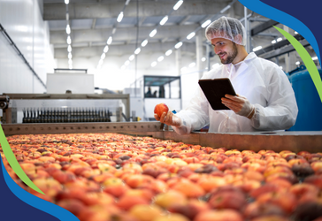 Ozone Use in Apple Processing