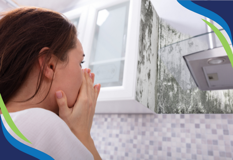 Guest Satisfaction Guaranteed: A Hotelier's Guide to Mold Prevention