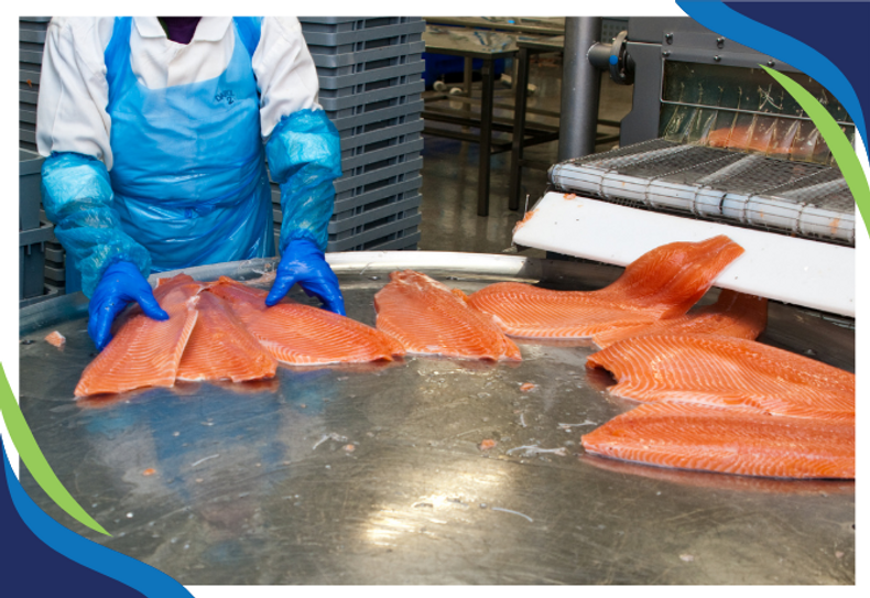 Breathing New Life into the Sea: Ozone Solutions for Sustainable Seafood Processing 