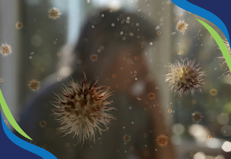 Using Ozone in Air