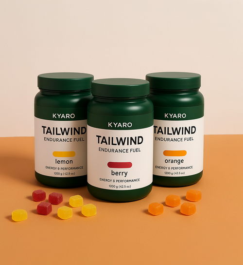 Kyro Tailwind Endurance Fuel