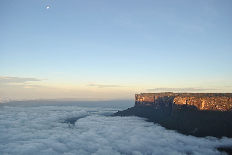 800px-kukenan-tepui-gran-sabana.jpg