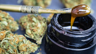How To Use A Nectar Collector: The Ultimate Guide