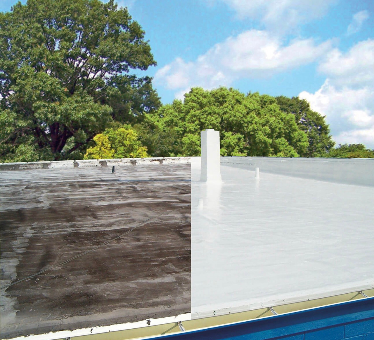 Roof Coating