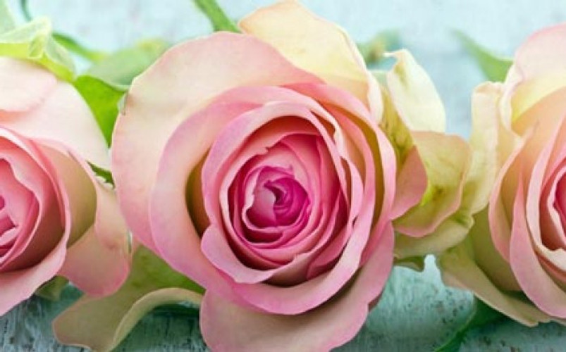 Our Fave Mother's Day Gift Ideas! 
