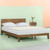 King 2-inch Thick Plush High Density Foam Mattress Topper Pad - Medium Firm Q280-WAKI7499