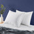 Set of 2 Machine Washable Down Feather Blend Pillow in Standard/Queen size Q280-SQDBFPS45937128