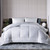 Queen Size All Seasons Soft White Polyester Down Alternative Comforter Q280-QURF5055