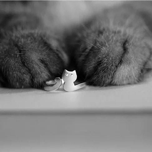 Size: Ring Size 9 to 11 - My Cute Kitten Fashion Ring In 925 Brushed Sterling Silver K290-2183224004