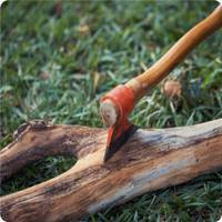 Lawn, Garden & Outdoor Equipment category image