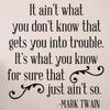Mark Twain Quote 'It Ain't What You Don't Know...' Wall Decal - close up