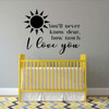 'I Love You' Vinyl Wall Quote - Song Lyrics ' You'll Never Know Dear, How Much I Love You - Baby's Nursery or Bedroom ' Sun Silhouette