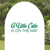 A Little Cutie is On The Way Wall Decal Sticker