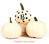 Halloween Decorations - 2 Sets of Black Letter B and Polks Dots for Decorating Jack-O-Lanterns, Pumpkins - Fall Decor Vinyl Decals, Party Favors