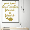 Motivational Wall Decal - Your Speed Doesn't Matter - Inspirational Vinyl Quotes for Home, Bedroom or Living Room Decor