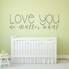 Baby Nursery Decor | 'Love You No Matter What' Vinyl Wall Decal Lettering for Boy or Girl | Blue, Pink, Purple, Black, White, Other Colors | Small and Large Sizes Available