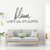 Encouraging Wall Decor Quote 'Bloom Where You Are Planted'