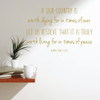 Patriotic Decals - If Our Country is Worth Dying - Hamilton Fish Quote - Vinyl Wall Art for Home, Office, or Classroom