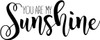 You Are My Sunshine vinyl wall decal lettering for nursery or kids room