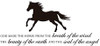 Horse Vinyl Wall Decal 'God Made The Horse'