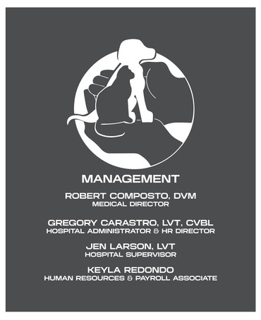 Custom business logo vinyl decal applied to office wall