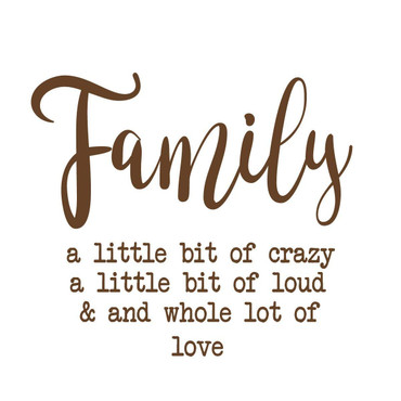 Family Wall Decal - A little Bit of Crazy - Custom Order