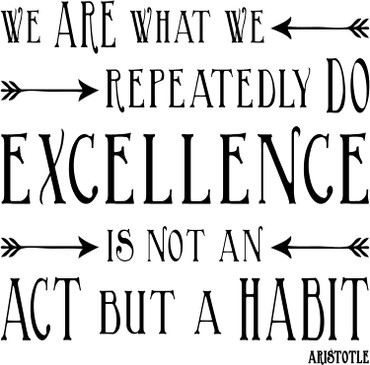 Aristotle excellence habit quote vinyl wall decal for office or classroom