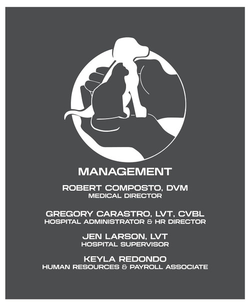 Custom business logo vinyl decal applied to office wall