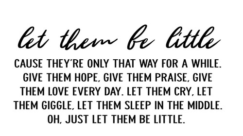 "Let Them Be Little Cause They're Only That Way for Awhile Quote Vinyl Wall Decal