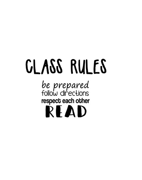 Vinyl Wall Decal Classroom Rules Quote