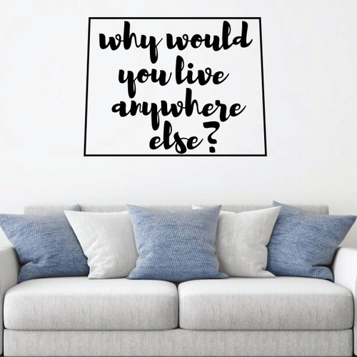Colorado Wall Decal - Why Would You Live Anywhere Else - State Vinyl Art Silhouette for Home Decor, Living Room or Family Room Decoration