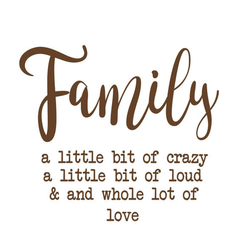 Family Wall Decal - A little Bit of Crazy - Custom Order