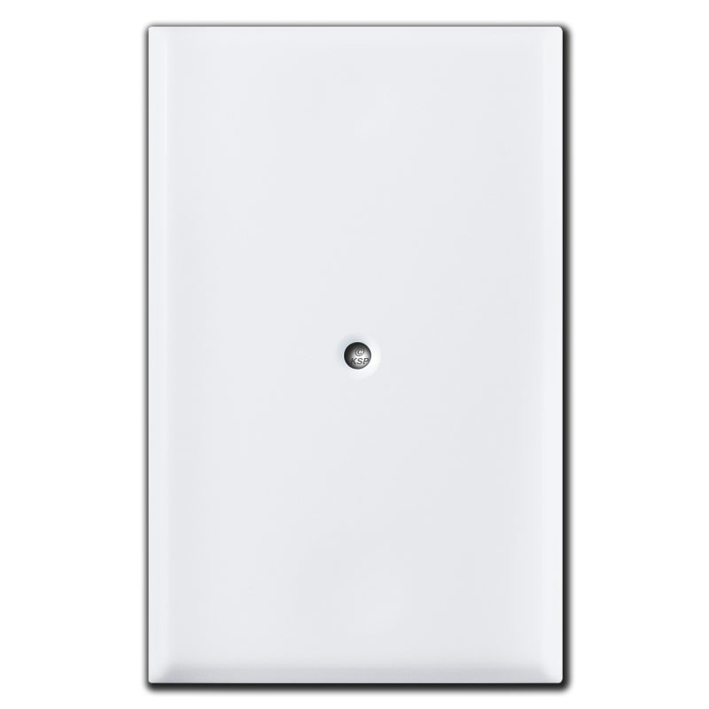 Specialty 1 Blank Wall Outlet Covers Center Screw Hole