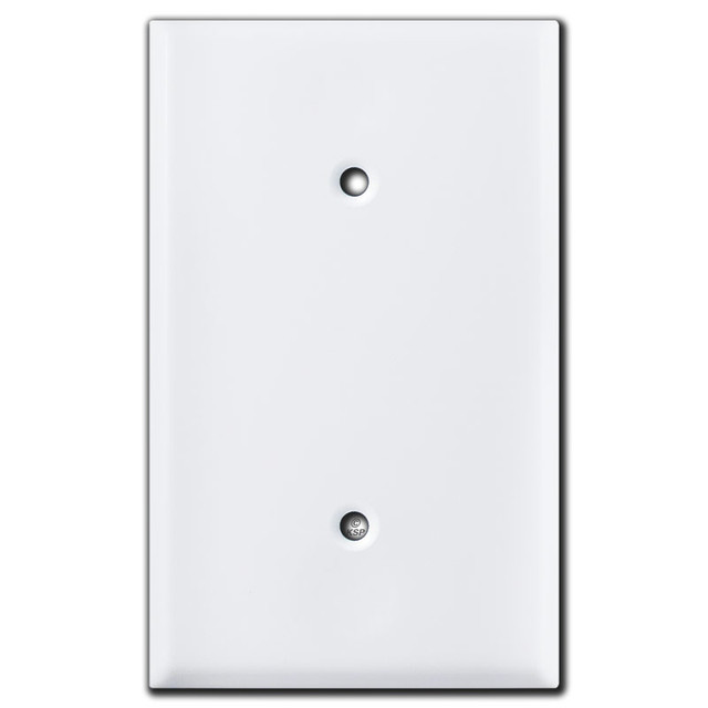 Specialty Blank Wall Plates 2.375'' Screw Hole Spread