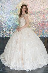 Stunning Quince Ball Gown In Lace Overlay And Crystals