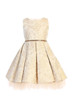 Girls Floral Jacquard And Tulle Pleated Special Occasion Dress
