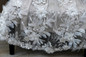 All Over Lace Baptism Gown Couture Christening Dress With 3D Lace Button Back