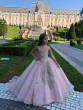 Couture Lace Tulle Flower Girl Pageant Photo Shoot Special Occasion Dress