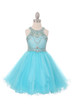 Girls Crystal Embellished Tulle Pageant Party Special Occasion Short Dress