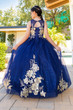 Mini Quince Princess Flower Girl Pageant Floral Embroidered Illusion Party Gown