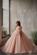 Pentilei Couture Flower Girl Chiffon Tulle Party Pageant Special Occasion Gown