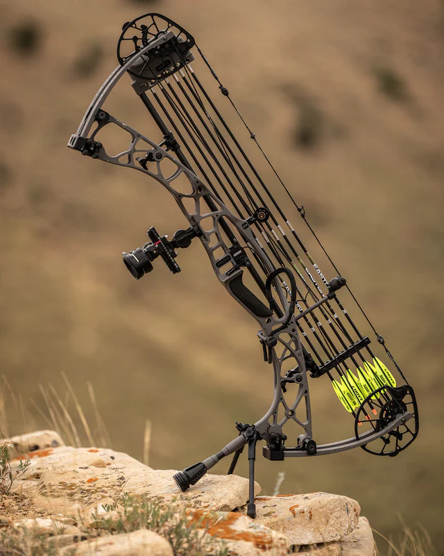 Hoyt Carbon Go-Stix 2.0