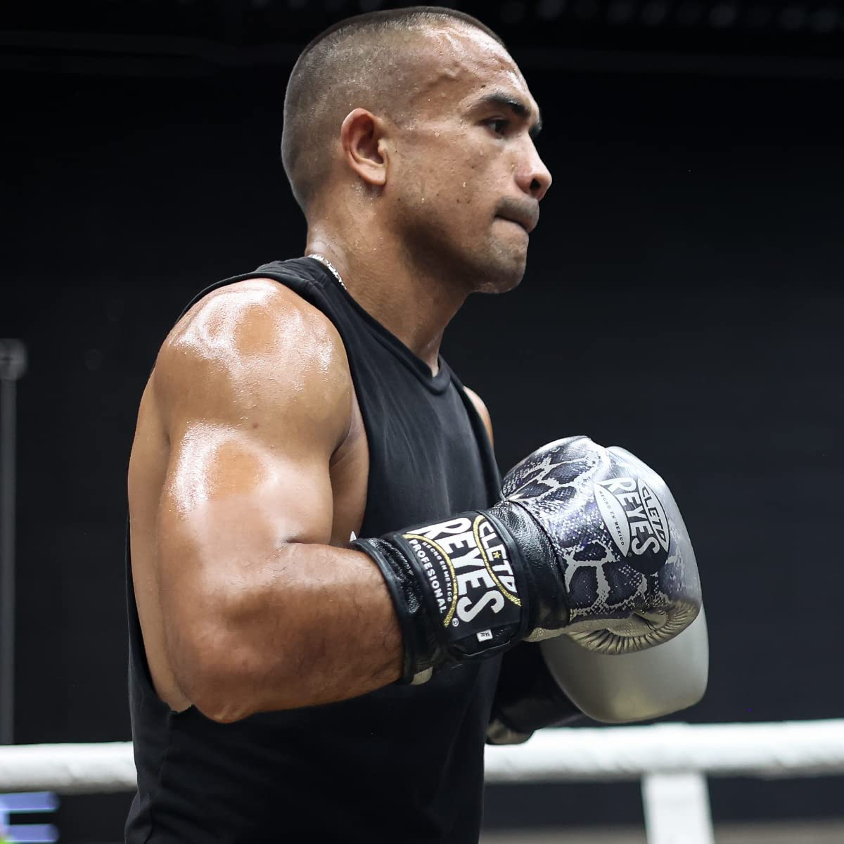 Cleto Reyes Training Boxing Gloves with Hook and Loop Closure Silver