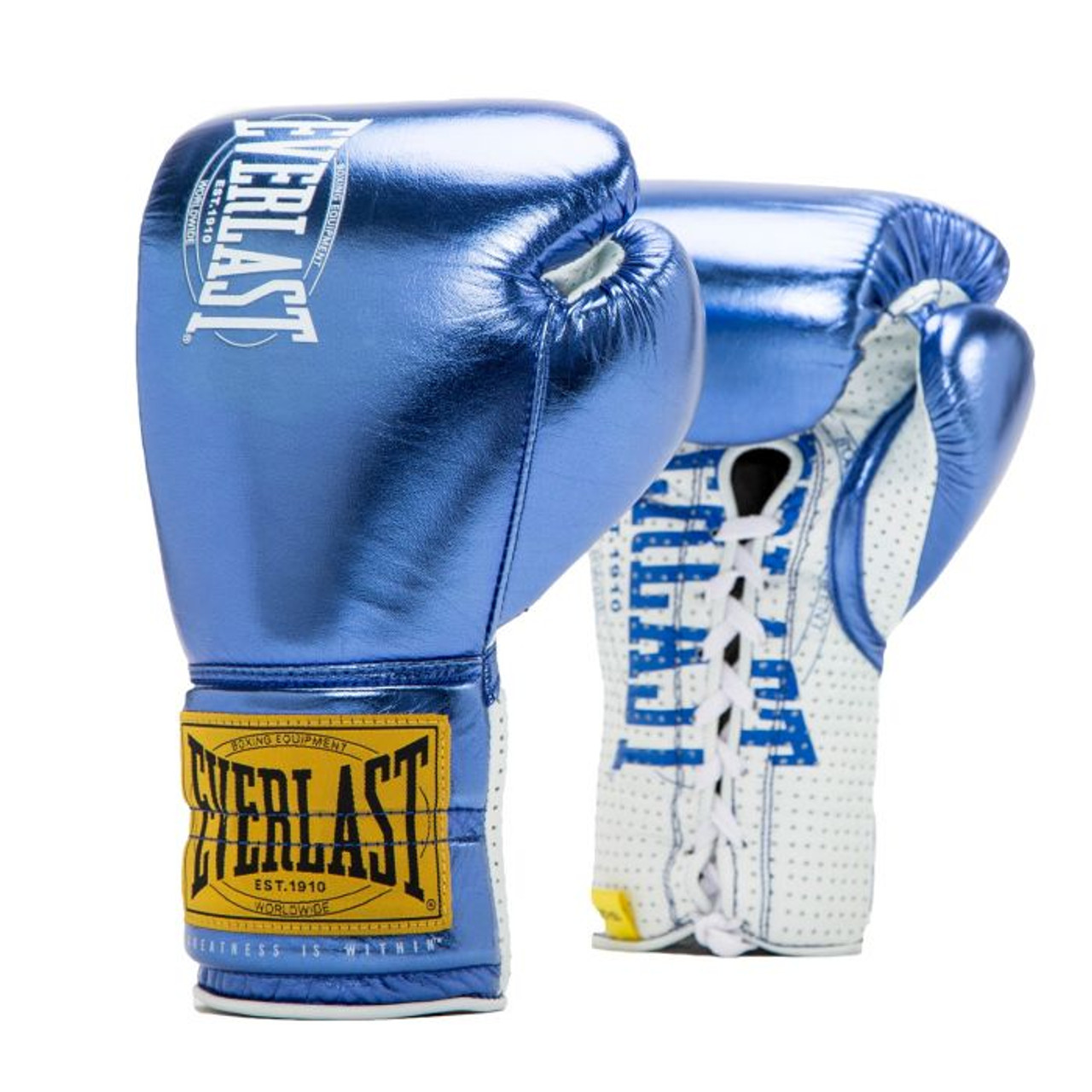 Droogte ontploffing Pence Everlast Iris Blue 1910 Classic Fight Gloves - FIGHT SHOP®