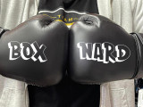 Boxnard Pro Leather Boxing Gloves 