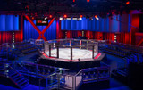 PRO MMA Professional Octagon Cage