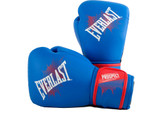 Everlast Youth Boxing Prospect Training Kit