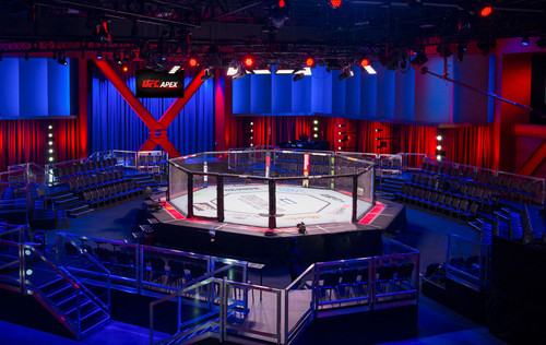 PRO MMA Professional Octagon Cages