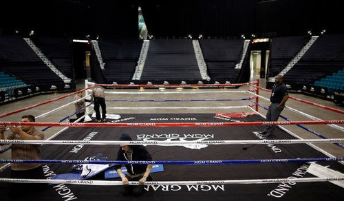 Pro Fight Night Boxing Ring Rental